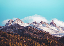 辽宁男篮训练小课堂:赵继伟单防莫兰德,能防住吗?